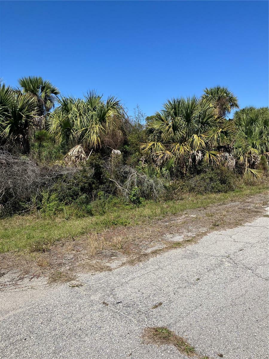 Property Photo:  Bignay Road  FL 34288 