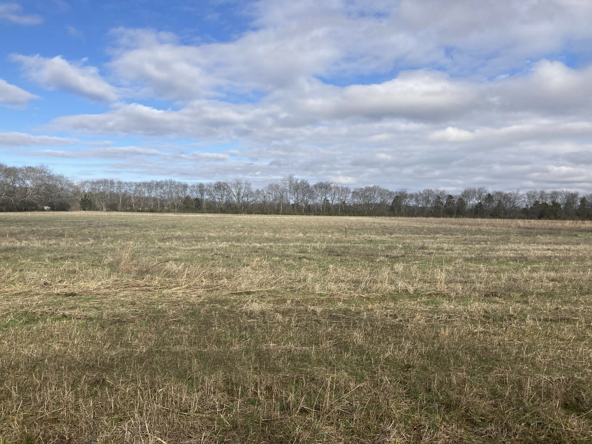 Property Photo: 0 Virgil Beasley Road TN 37034