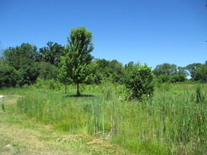 Property Photo:  23787 W Reindeer Trail  IL 60046 