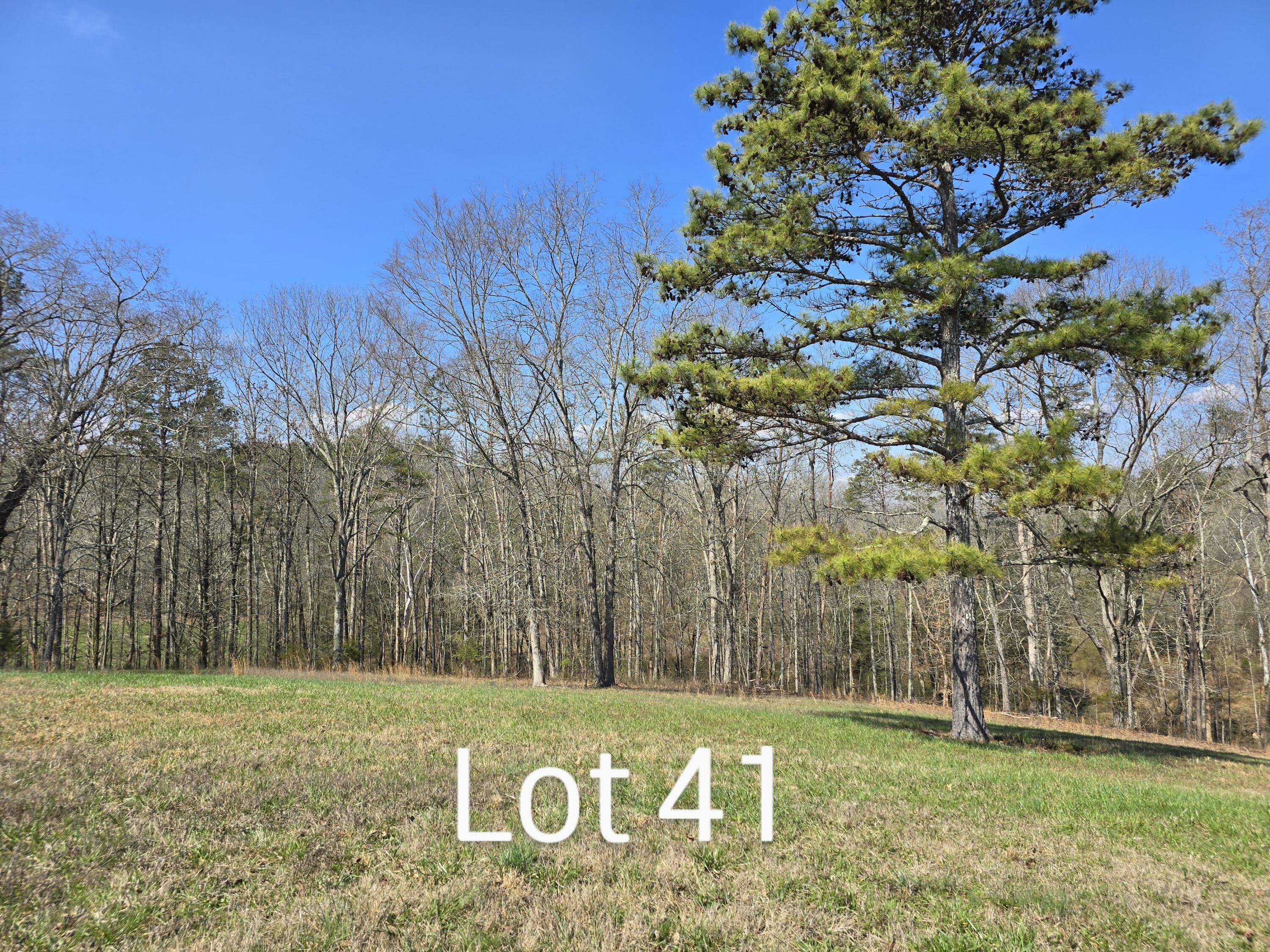 Property Photo: 5303 Bear Creek Road TN 37308