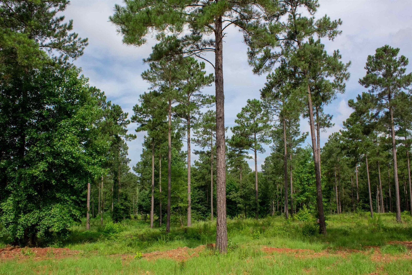 Property Photo: 176 Overlook Drive GA 31024