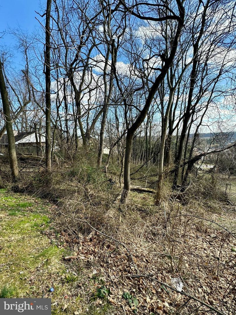 Property Photo:  217 &Amp 219 Chapel Avenue  PA 19365 