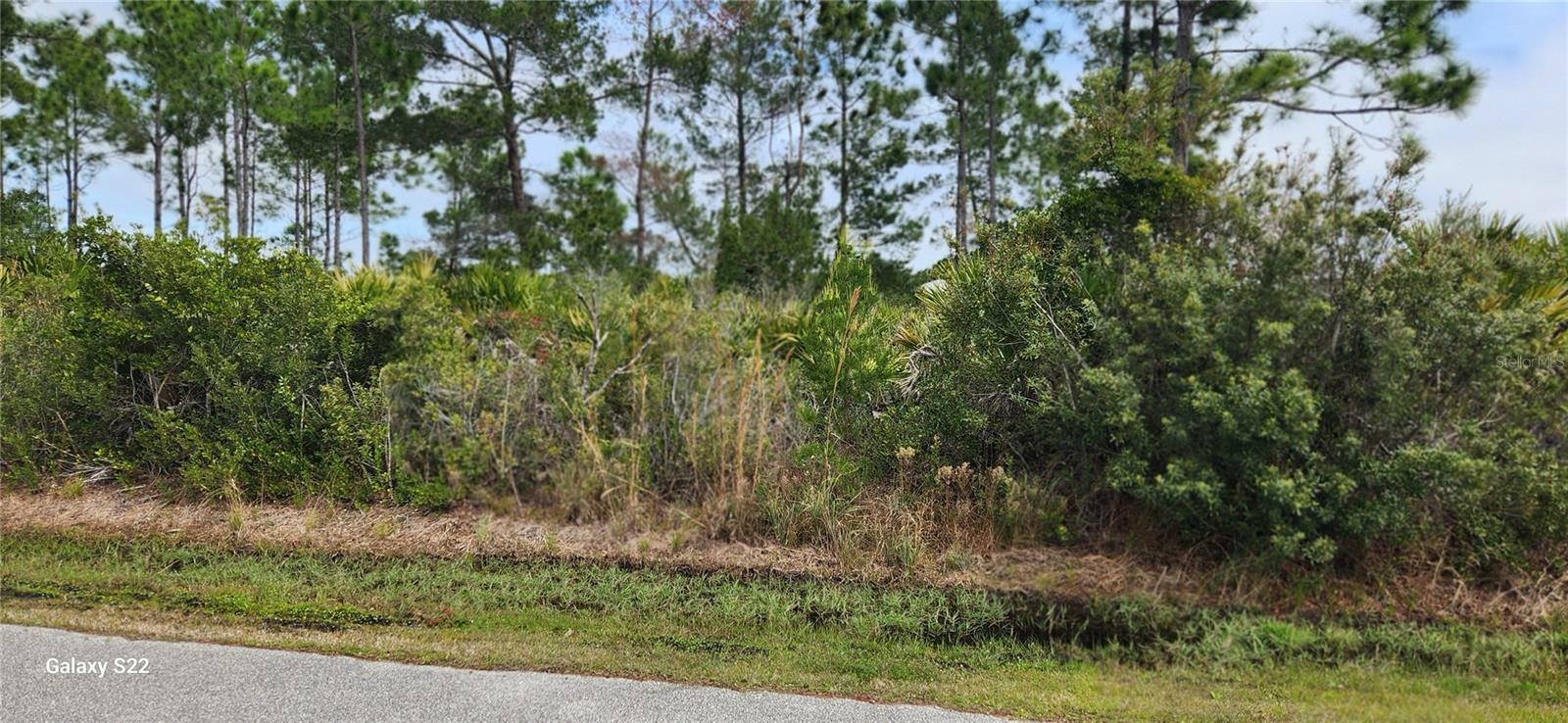 Property Photo:  44 Freneau Lane  FL 32137 