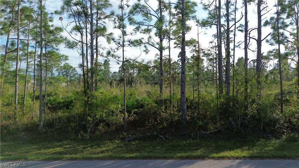 Property Photo:  12157 Terkelsen Avenue  FL 33981 