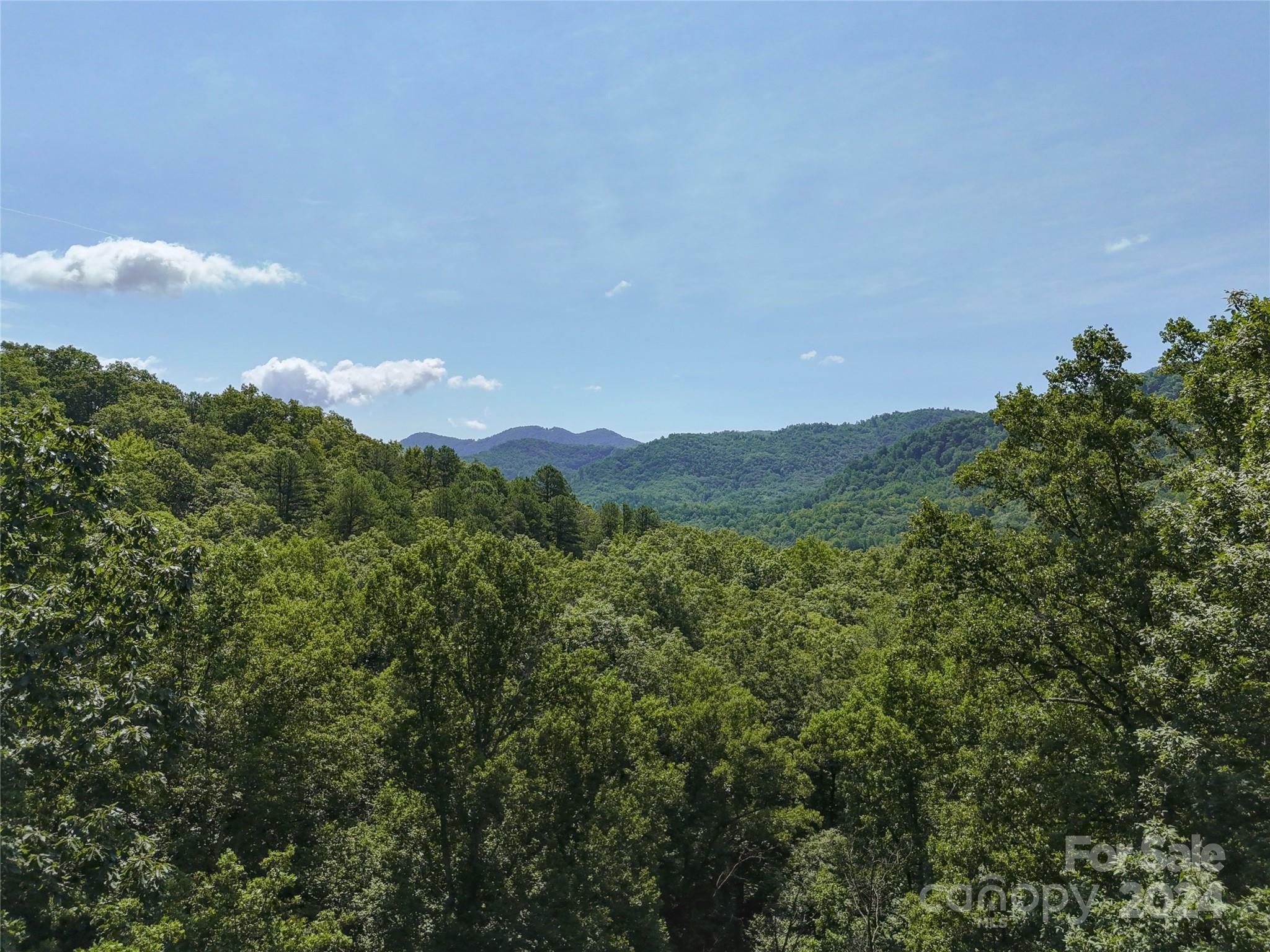 Tbd Ironwood Lane T-100  Black Mountain NC 28711 photo