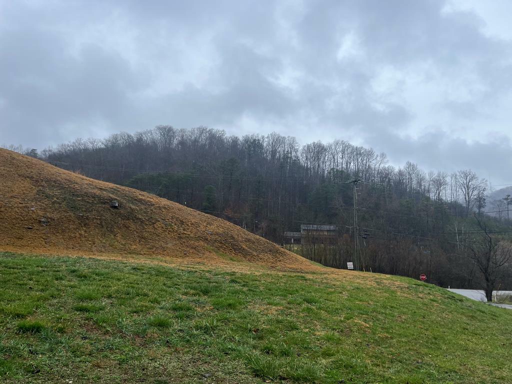 Property Photo:  Lot # 12 Paradise Acres  KY 41222 