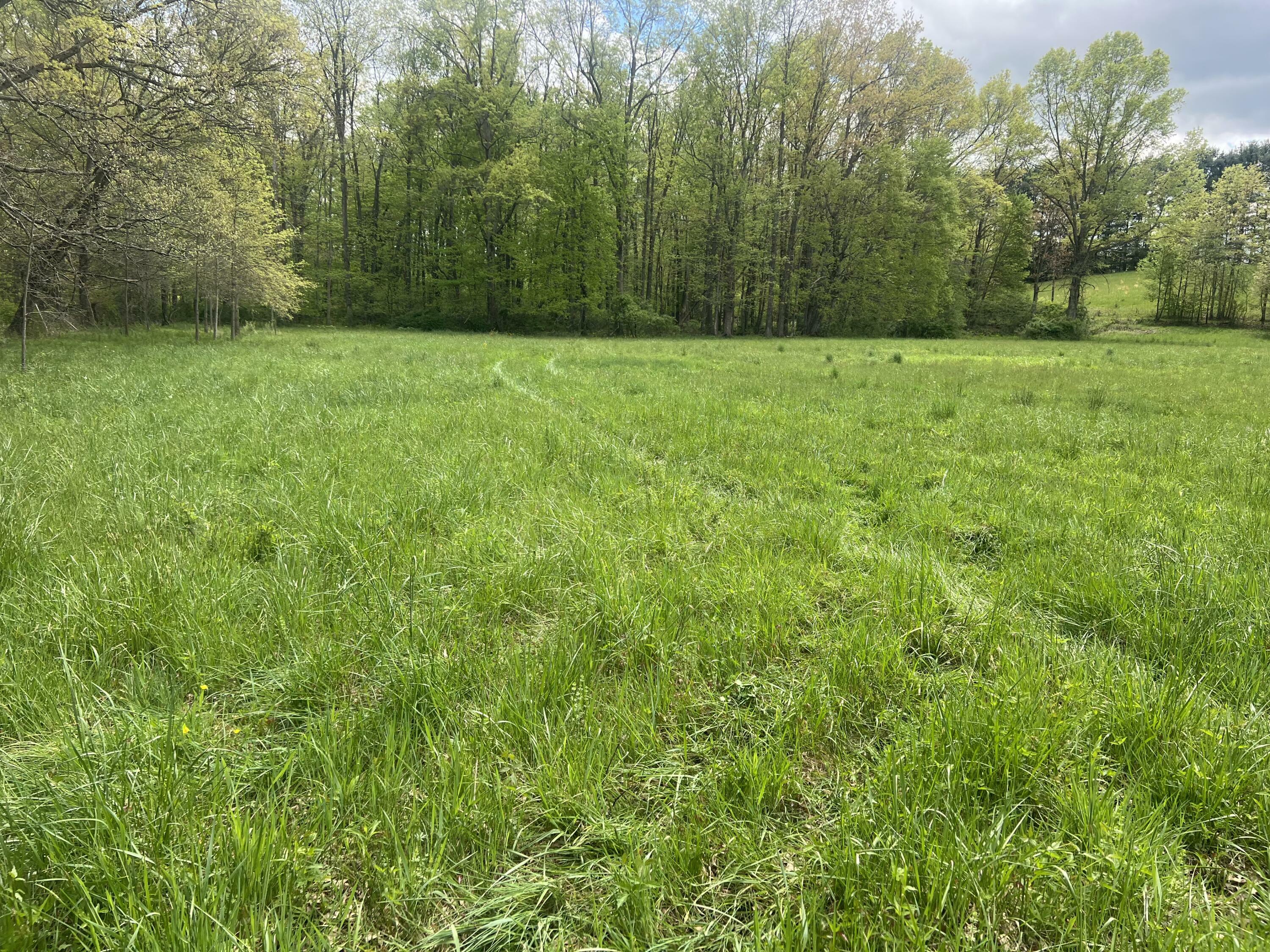 Property Photo: Country Wood Lane WV 24931