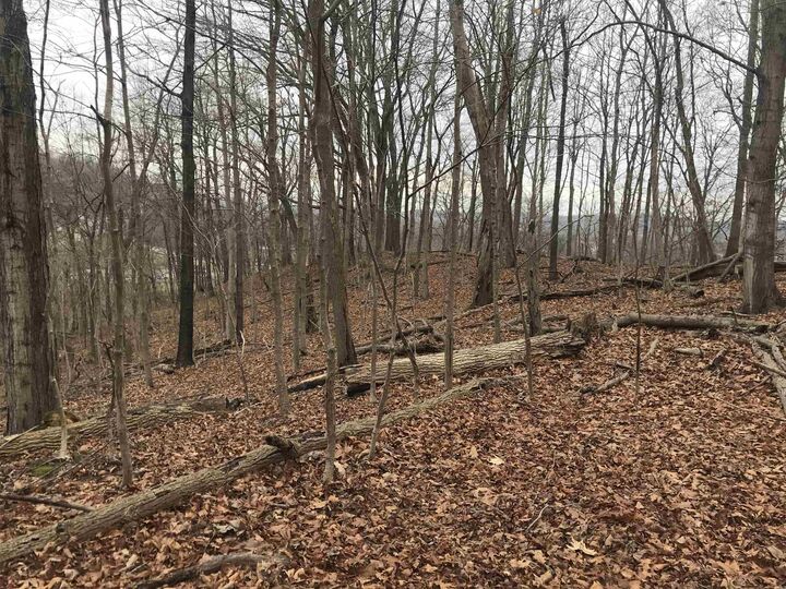 Property Photo: 0 Harvey Road &Amp Kessler Road WV 25701