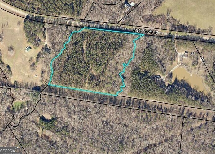 Property Photo:  Tract 4 Highway 16 W  GA 31064 