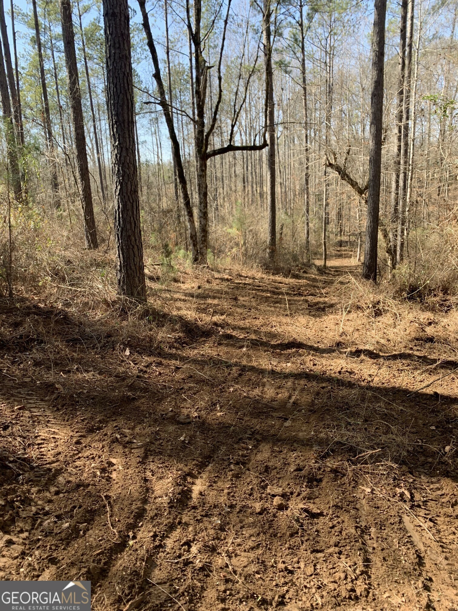 Property Photo:  Tract 4 Highway 16 W  GA 31064 