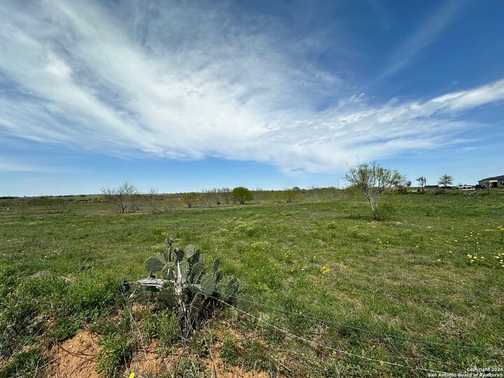 Property Photo: 0 Fm 2790 TX 78002