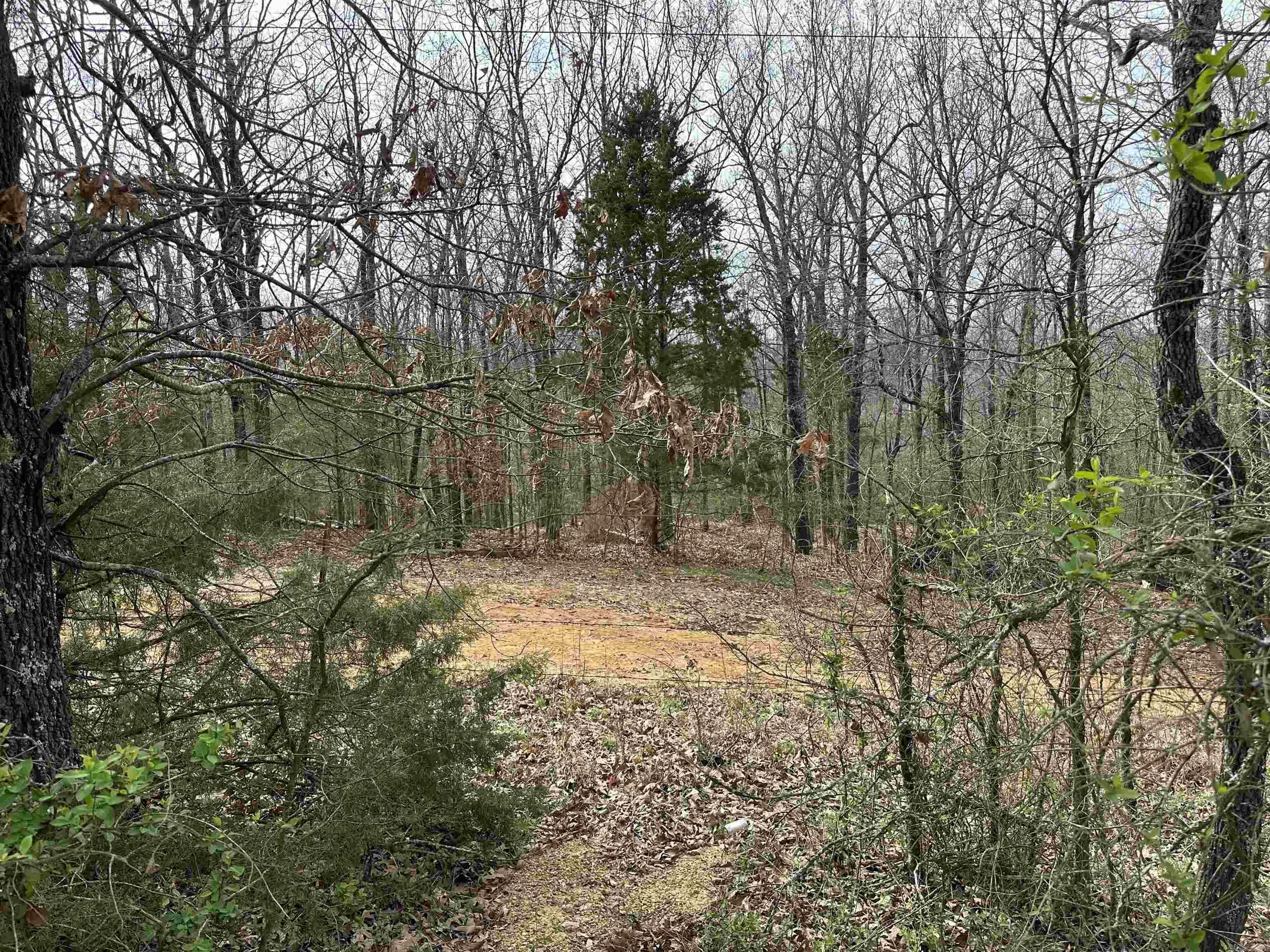 Property Photo:  Lot 1 Raby Road  AR 72432 