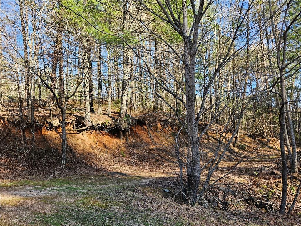 Property Photo:  Lot 0 Bahn Erlenbruck  GA 30545 