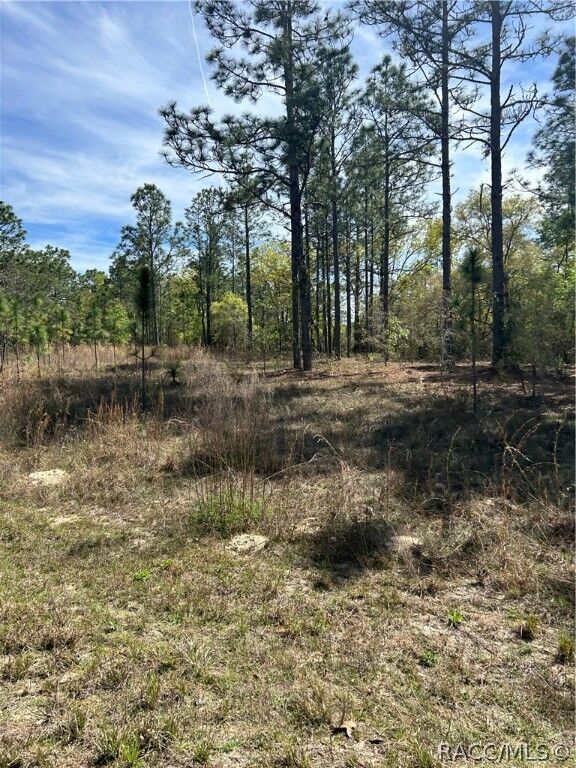 Property Photo:  2032 W Corrine Street  FL 34434 