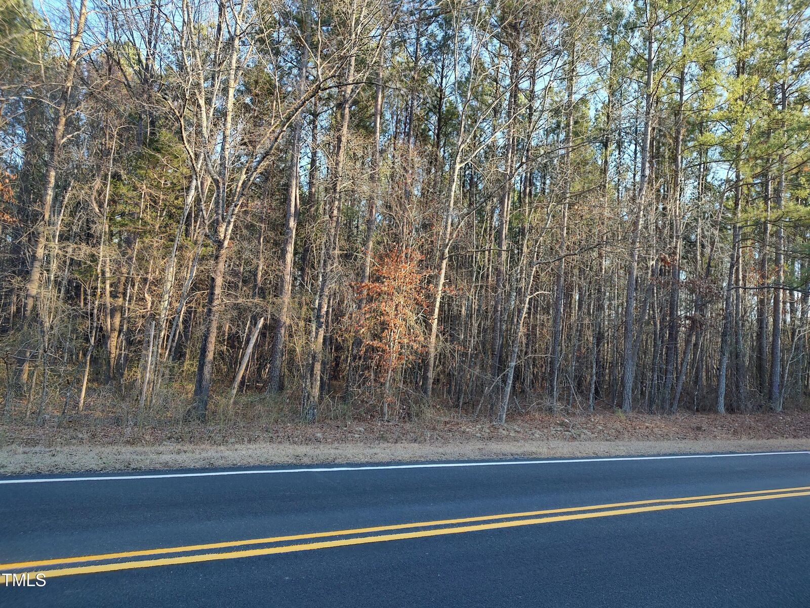 Property Photo: 1631 SR Gum Pond Rd Road NC 27589