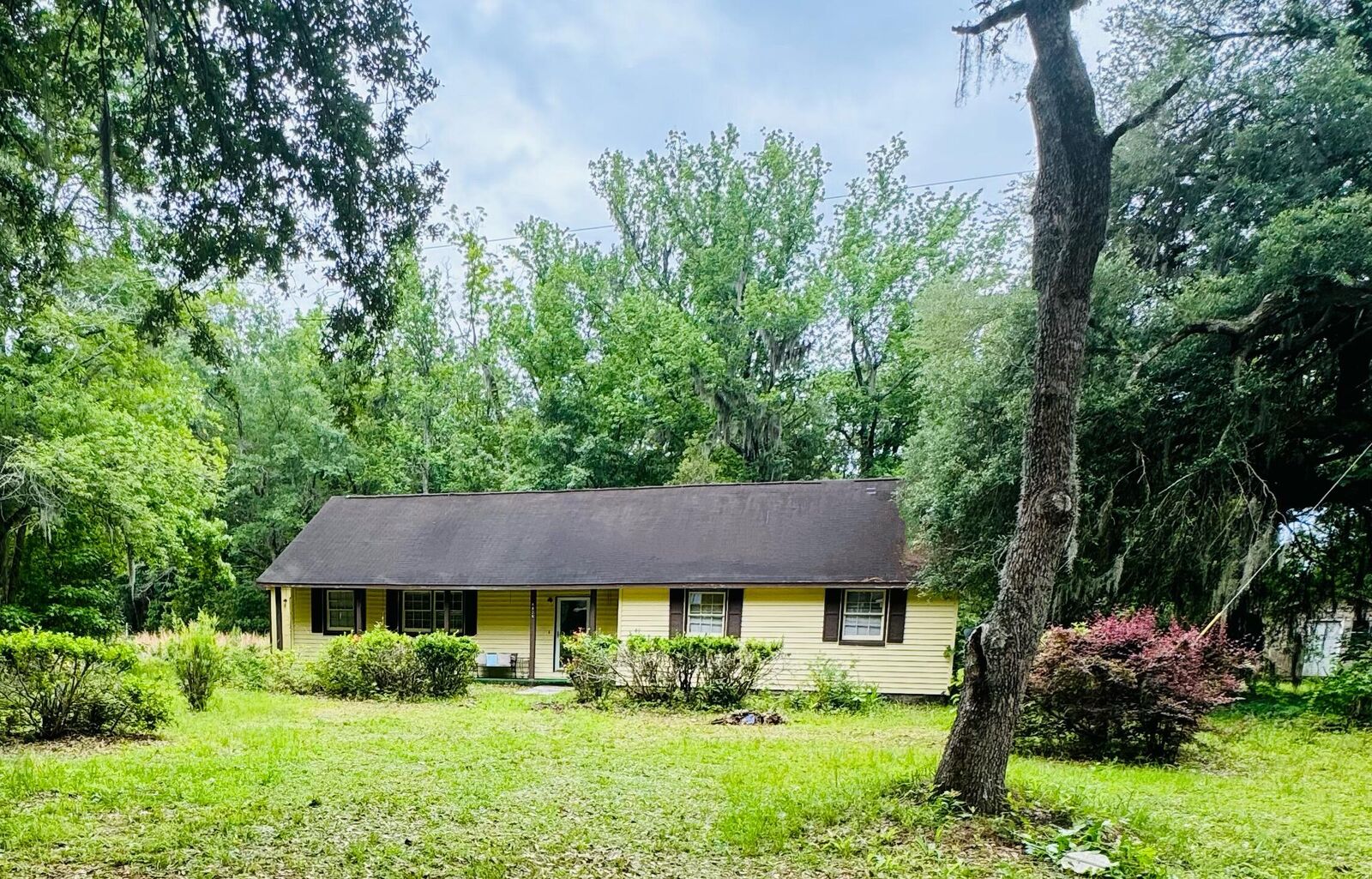 Property Photo: 4836 Oak Willie Road SC 29449