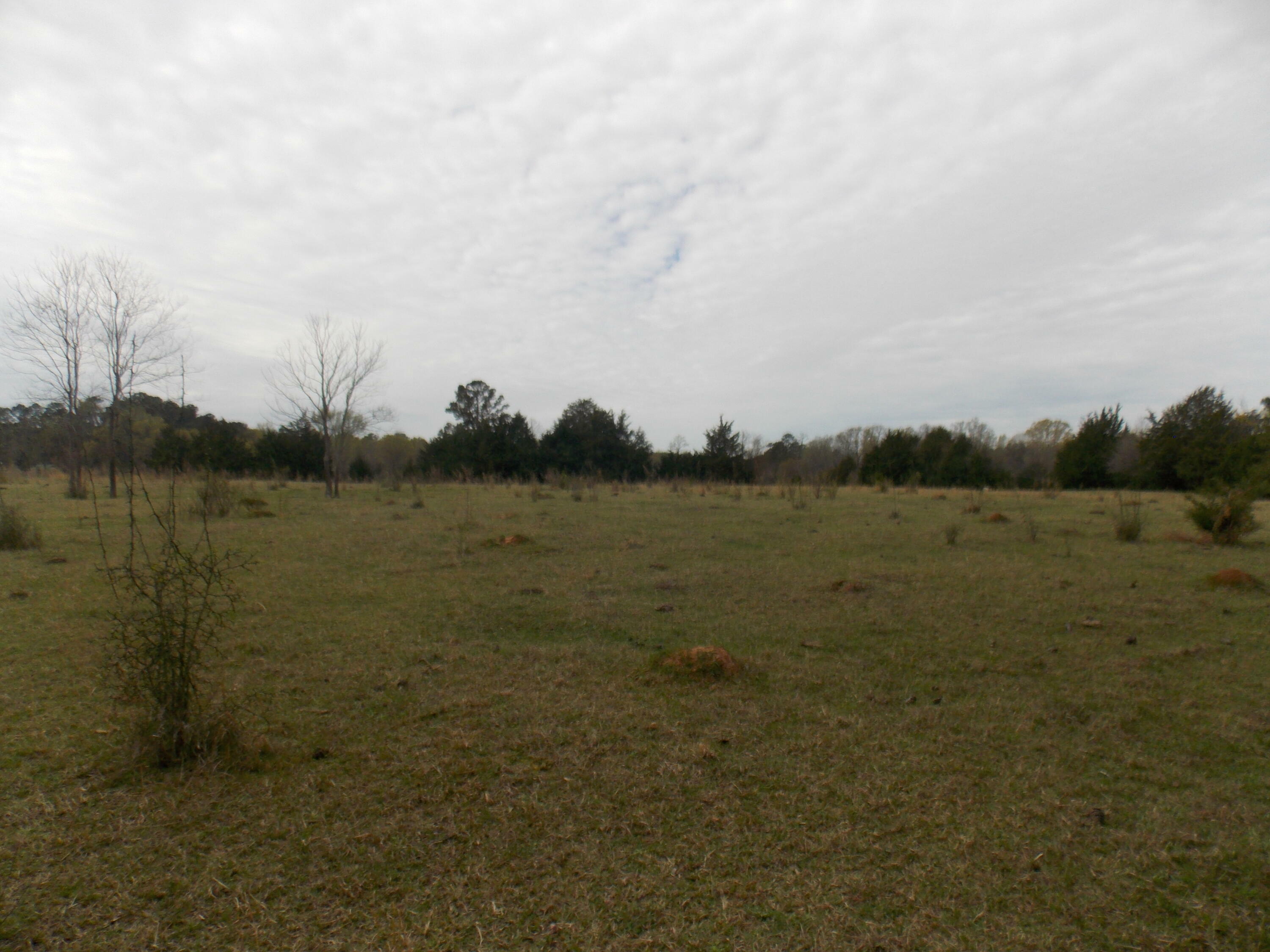 Property Photo:  378 Lincolnton Rd Road  GA 30673 