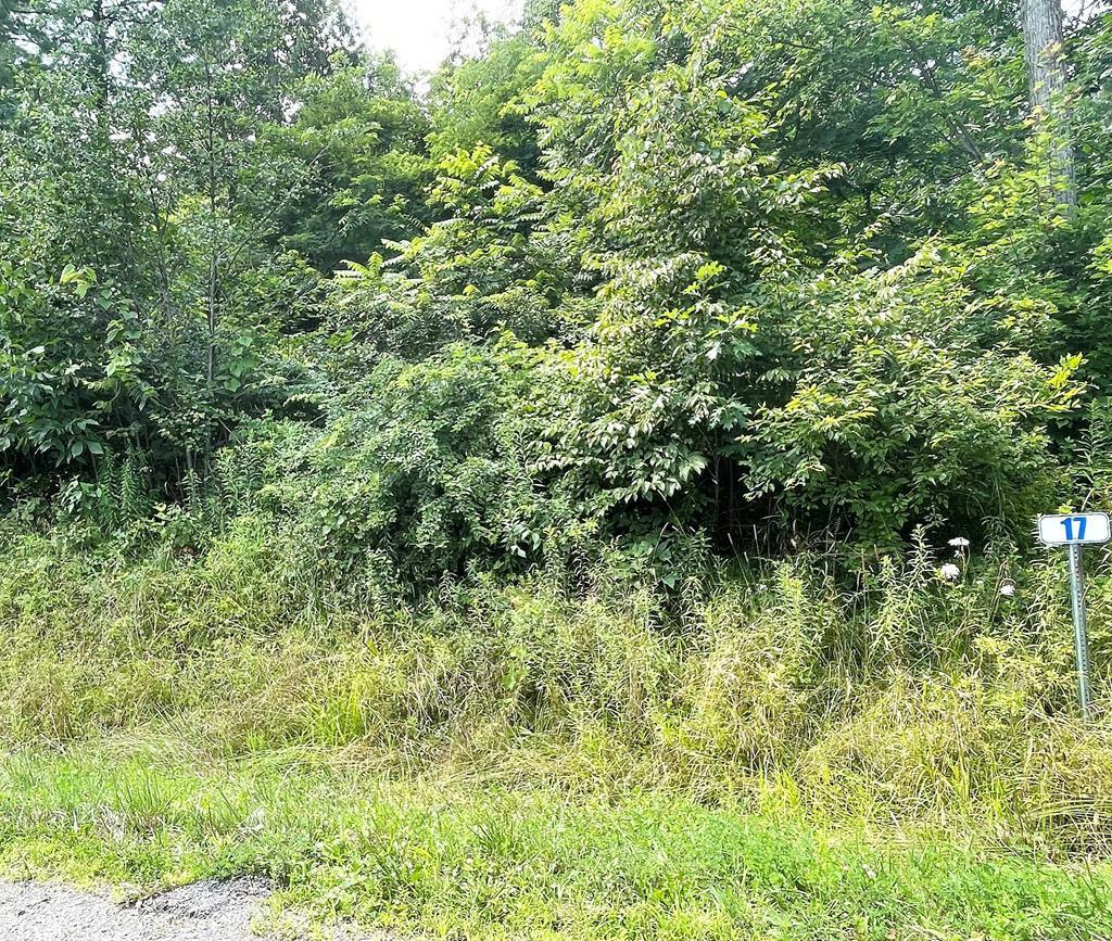 Property Photo:  Lot 17 Hemlock Hills Rd  PA 18848 