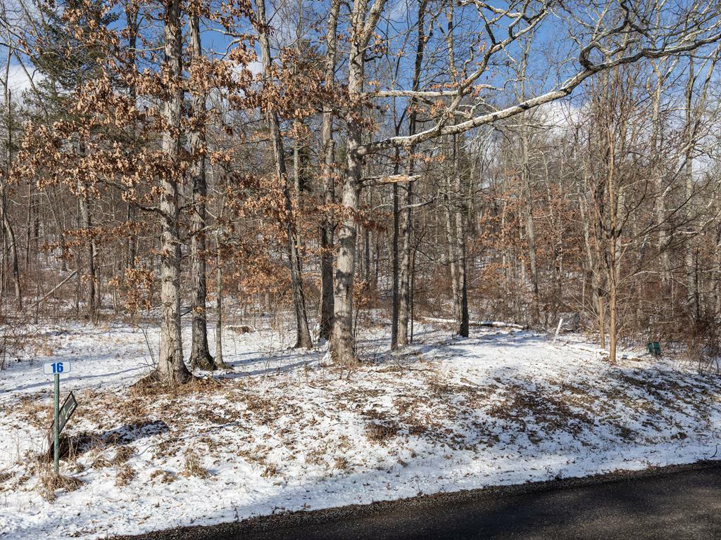 Property Photo:  Lot 16 Hemlock Hills Rd  PA 18848 