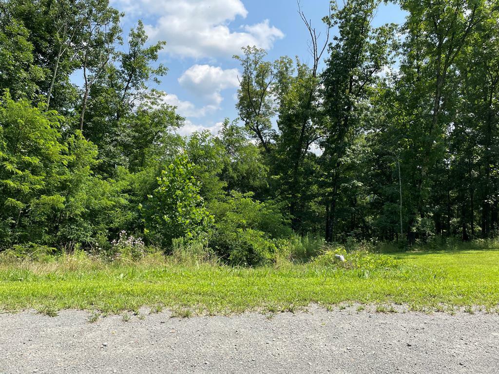 Property Photo:  Lot 25 Hemlock Hills Rd  PA 18848 