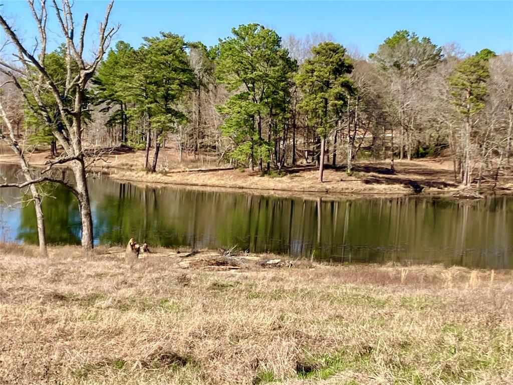 Property Photo:  Lot 64 White Oak Creek  TX 75755 