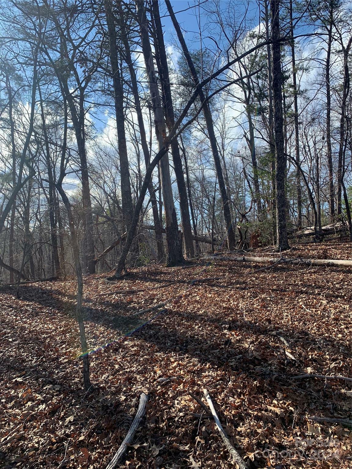 Property Photo:  0 N Lynch Road SW  NC 28756 