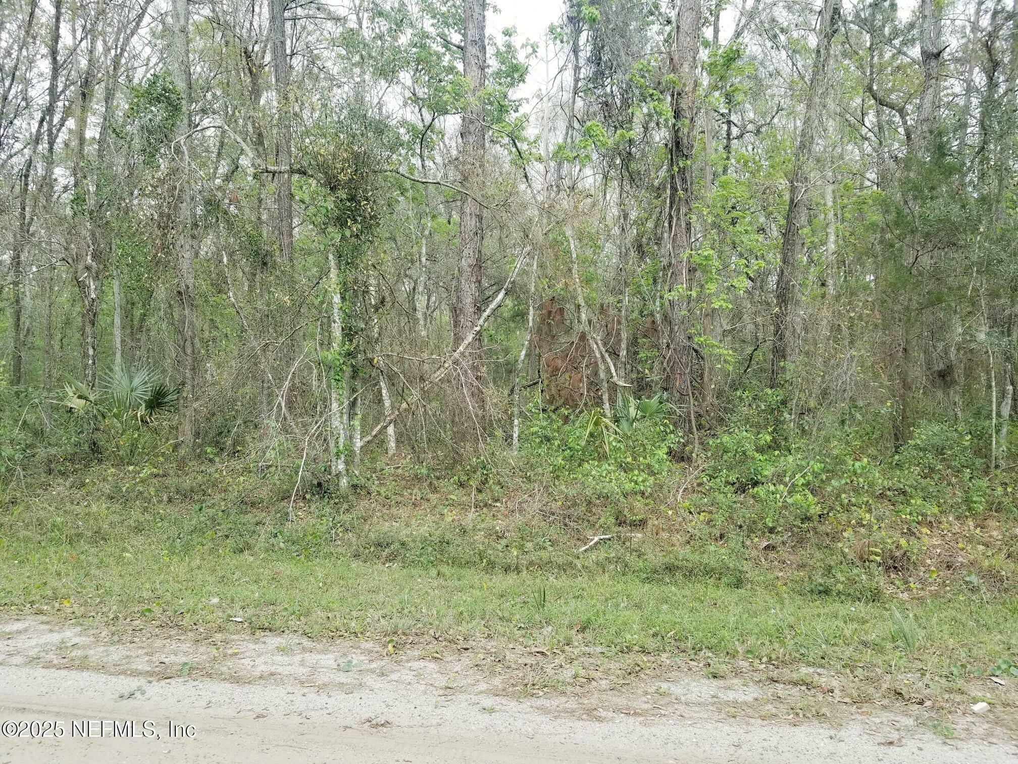 Property Photo: 2095 Grove Street FL 32110