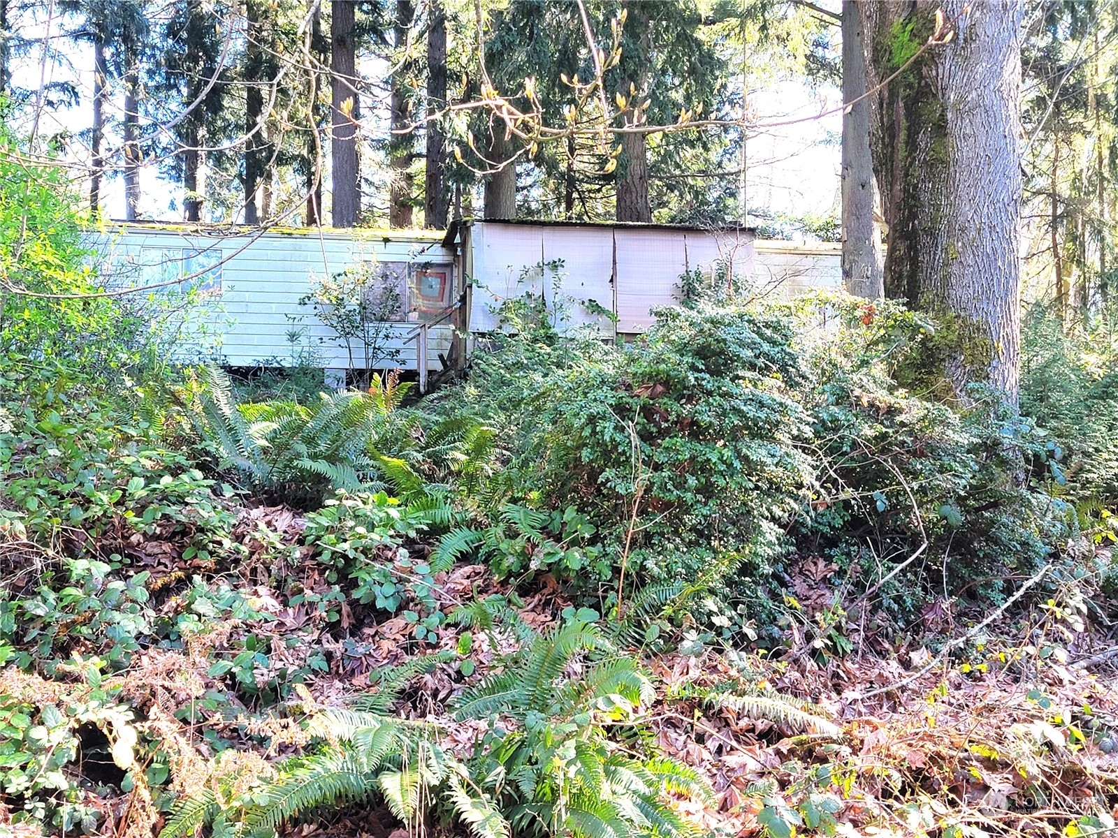 Property Photo: 11228 NE 272nd Street WA 98346