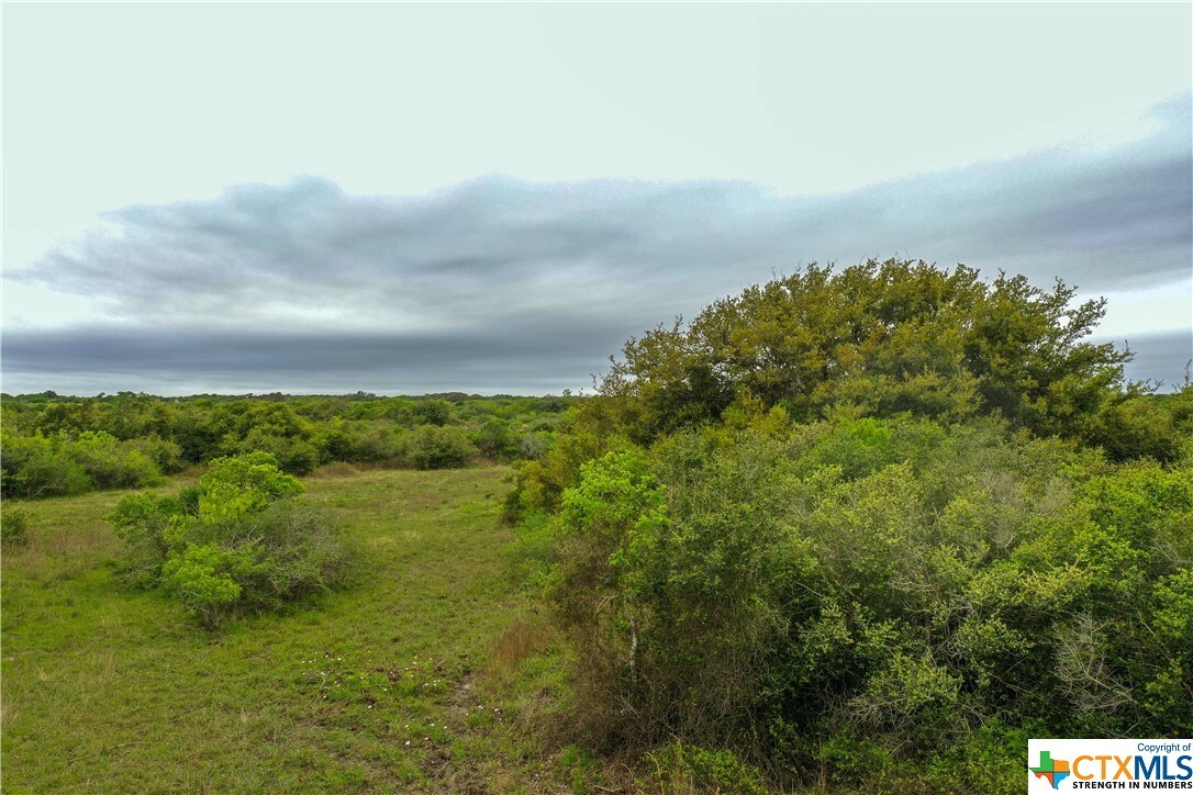 Property Photo: 460 Fm 2040 TX 77950