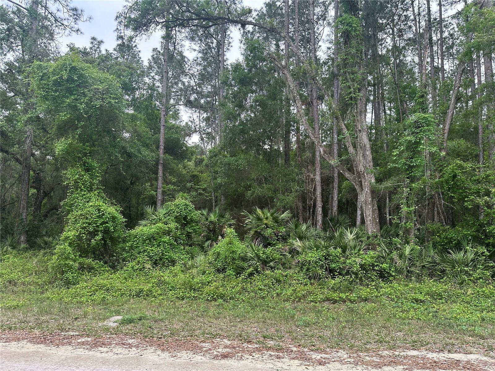 Property Photo:  0 Alloy Street  FL 33597 