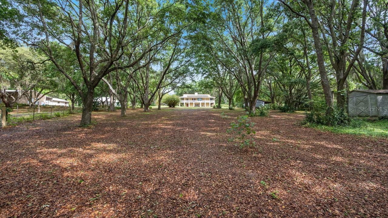 Property Photo:  12136 Howey Cross Road  FL 34715 