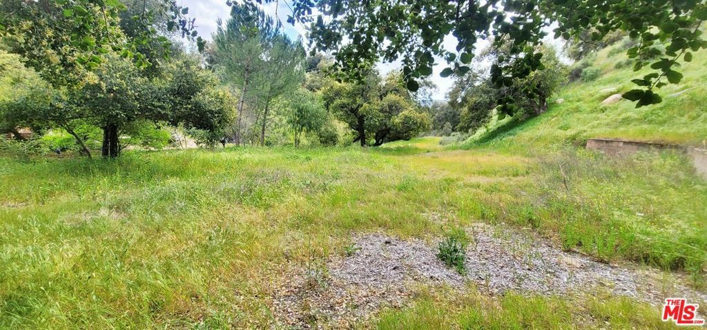 Property Photo:  11402 Eby Canyon Road  CA 91040 