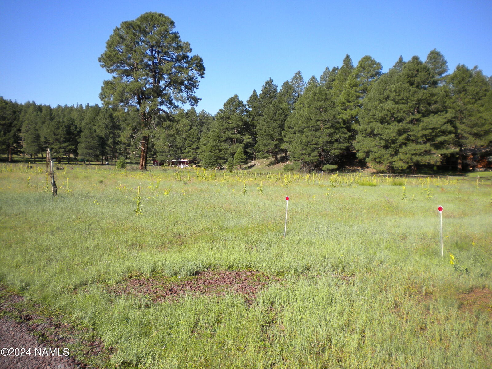 Property Photo: 6090 Big Game Trail 18 AZ 86005