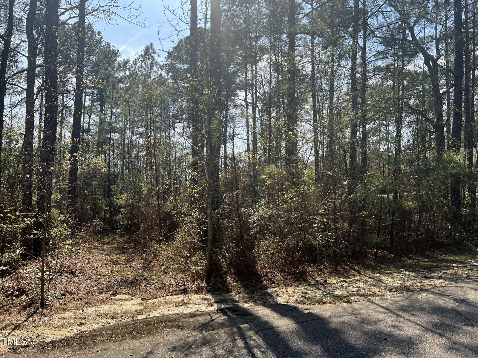 Property Photo:  820 Mimosa Drive  NC 28394 