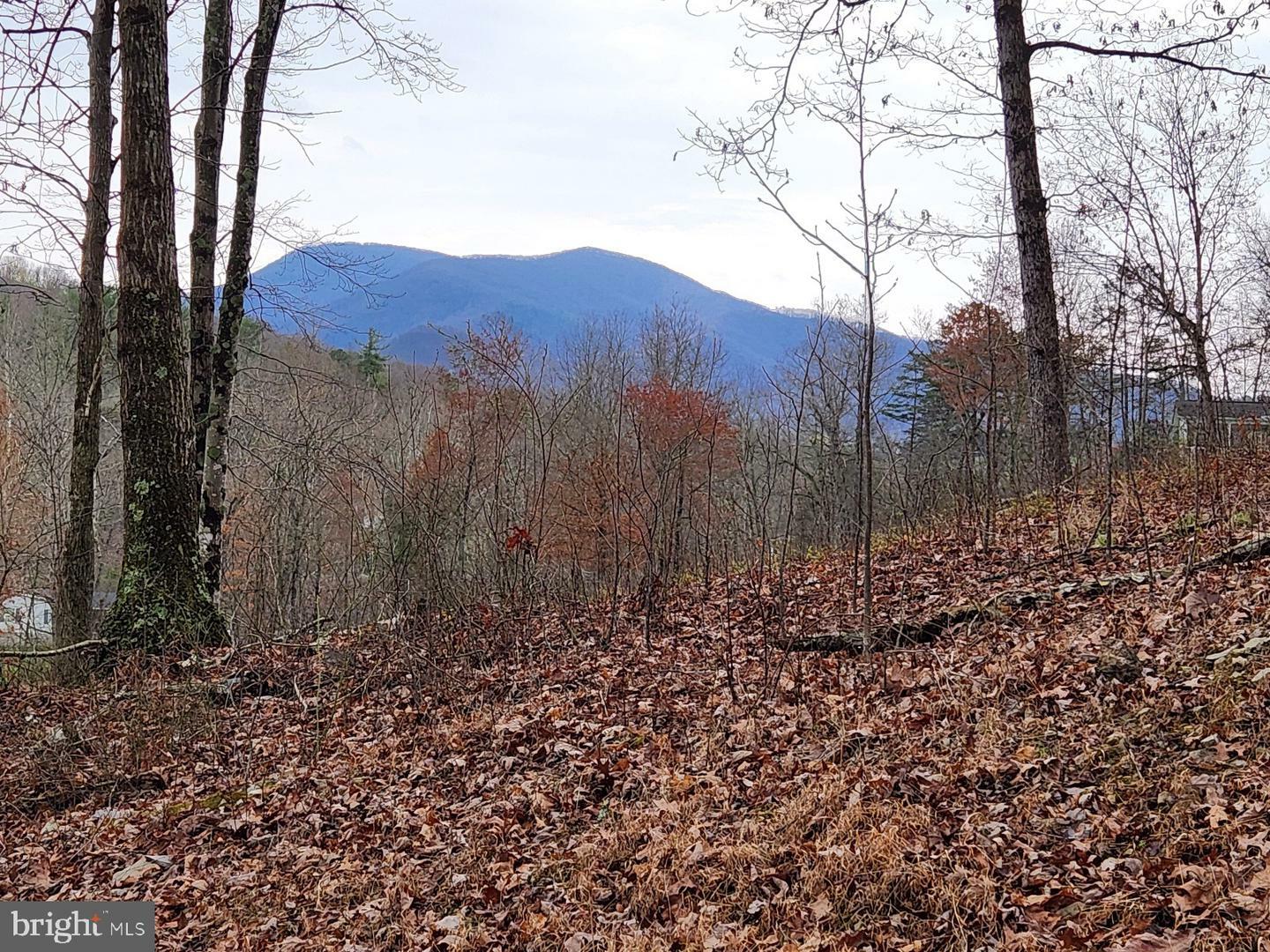 Property Photo:  Hollow Run Road  VA 22835 