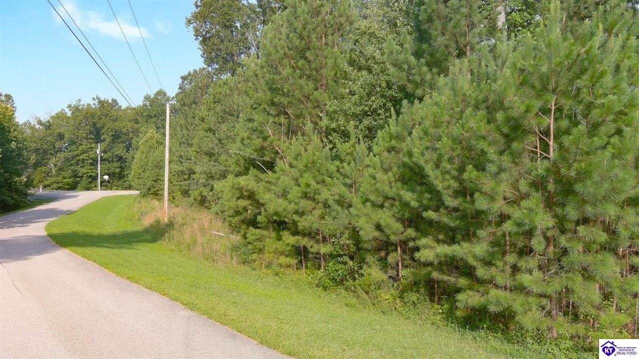 Property Photo:  Lot 14A Tree Stand Court Lot 14A  KY 40175 