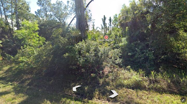 26255 Deer Road  Punta Gorda FL 33955 photo