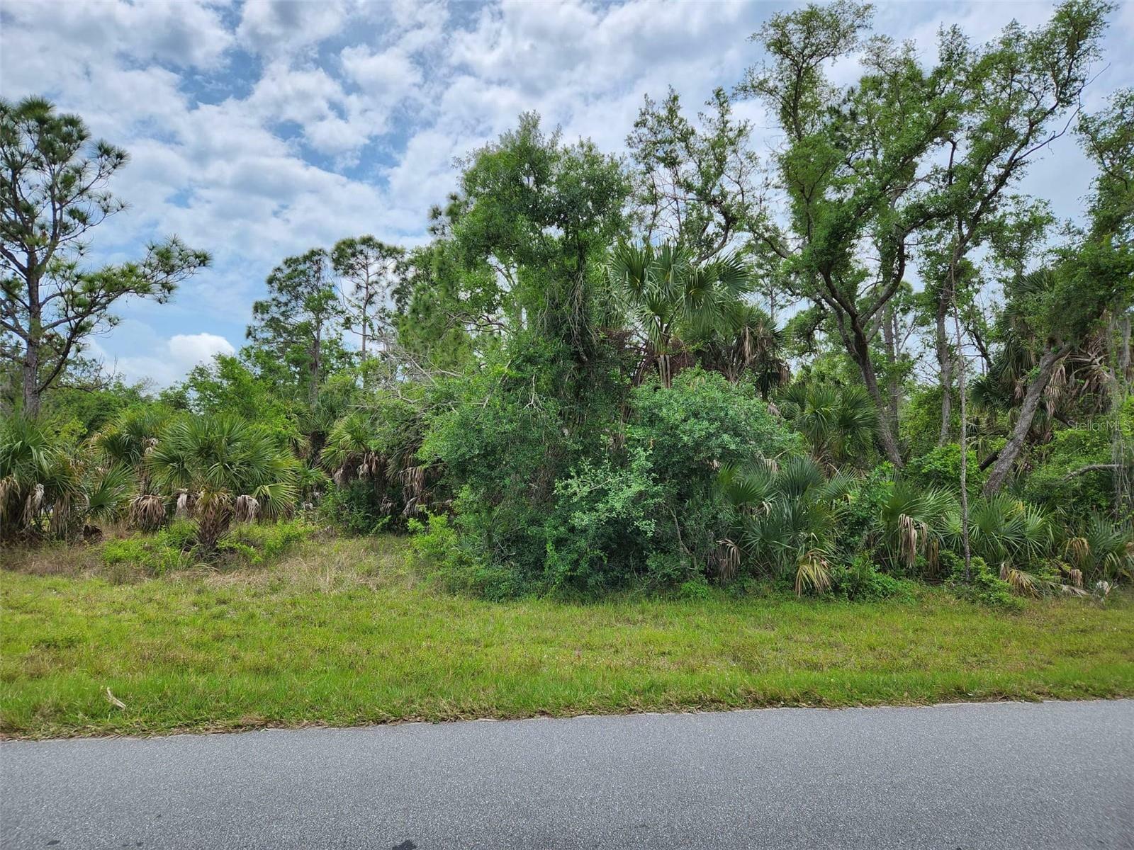Property Photo: 15029 Elwood Avenue FL 33953