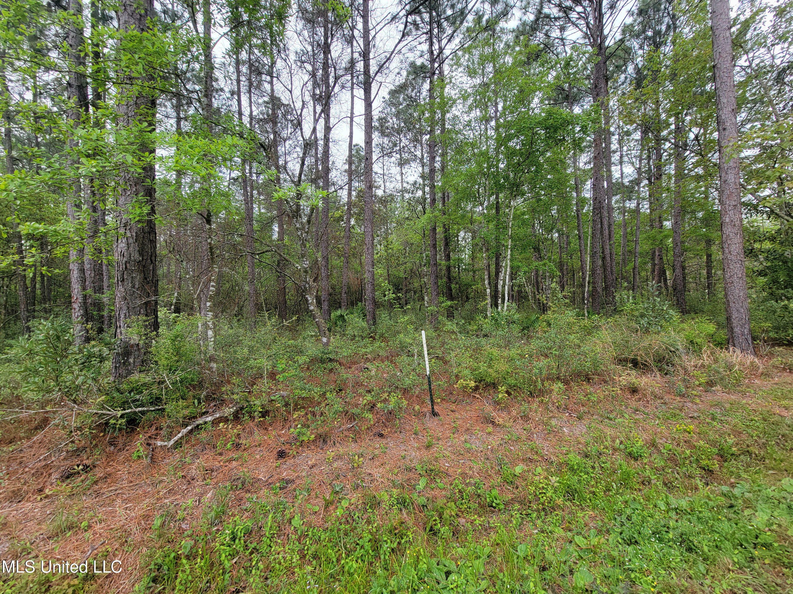 Property Photo:  0 Prairie Brook Road  MS 39562 