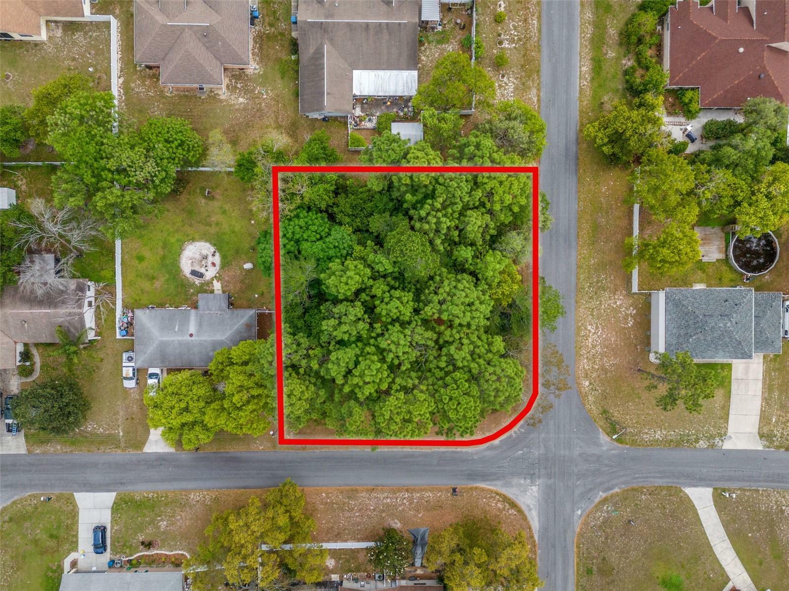 Property Photo:  0 Dellbrook (Lot 10) Avenue  FL 34608 