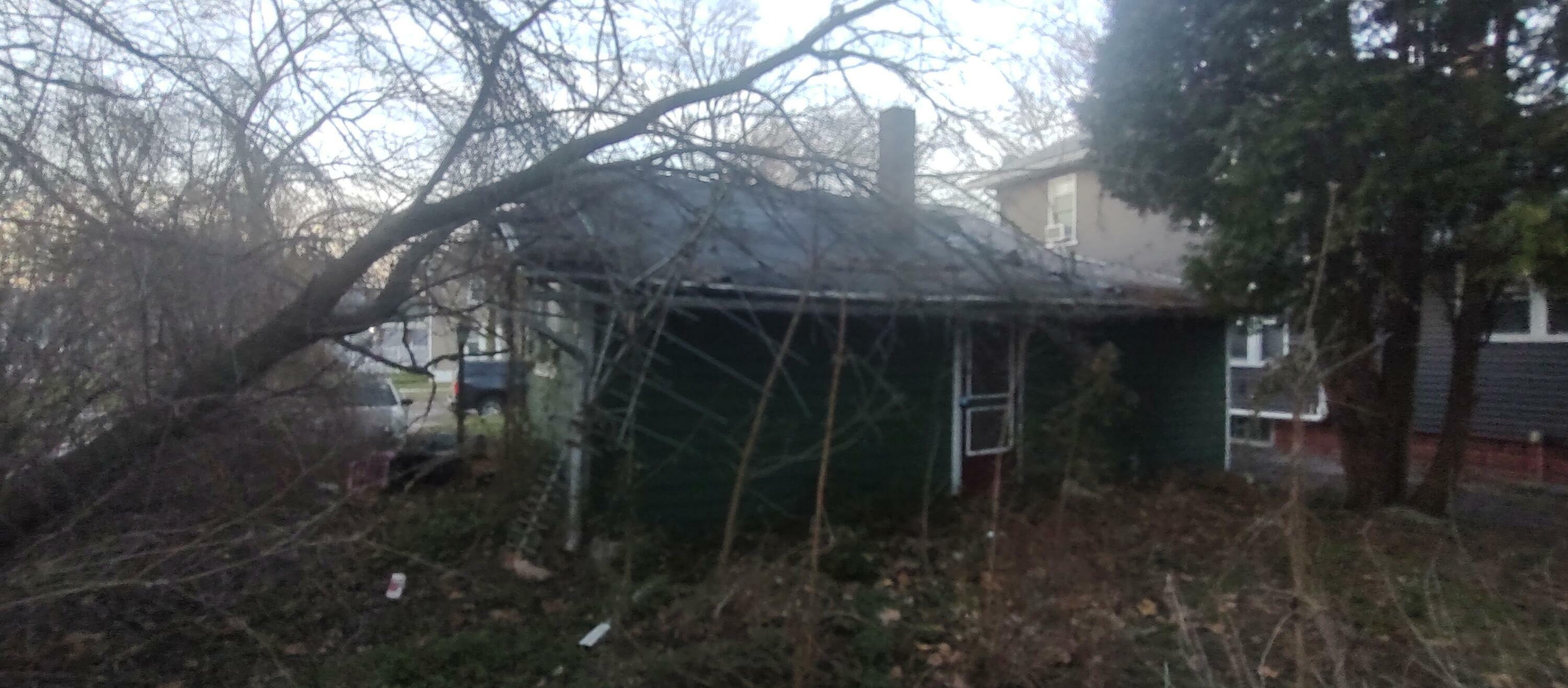 Property Photo:  317 E Williams Street  MI 48867 