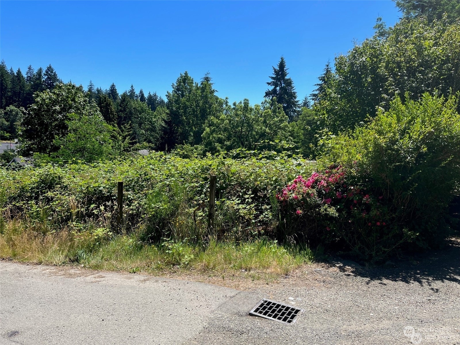 Property Photo:  0 Lot D Burwell  WA 98312 