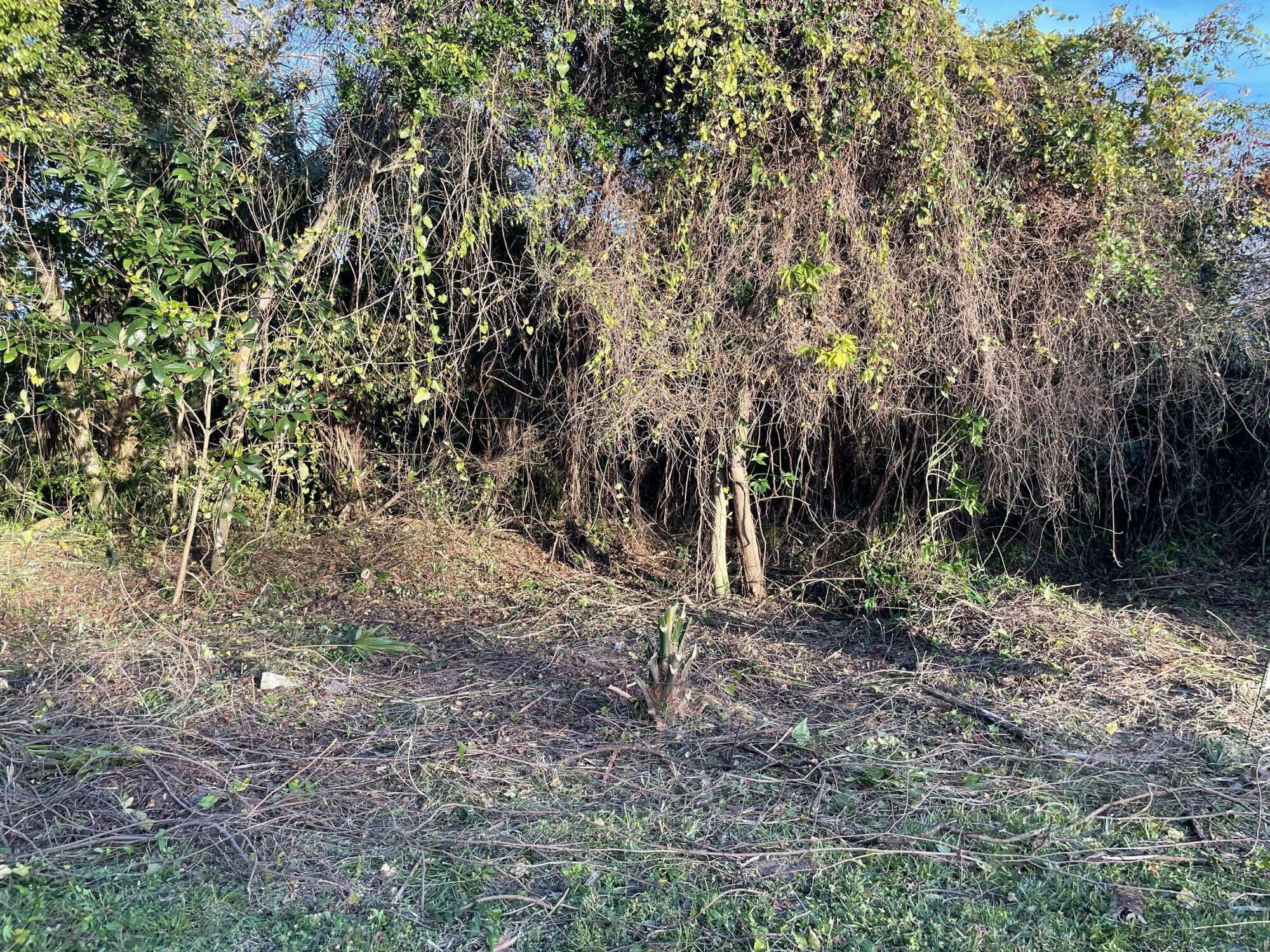 Property Photo:  00000 Hillcrest  FL 32796 