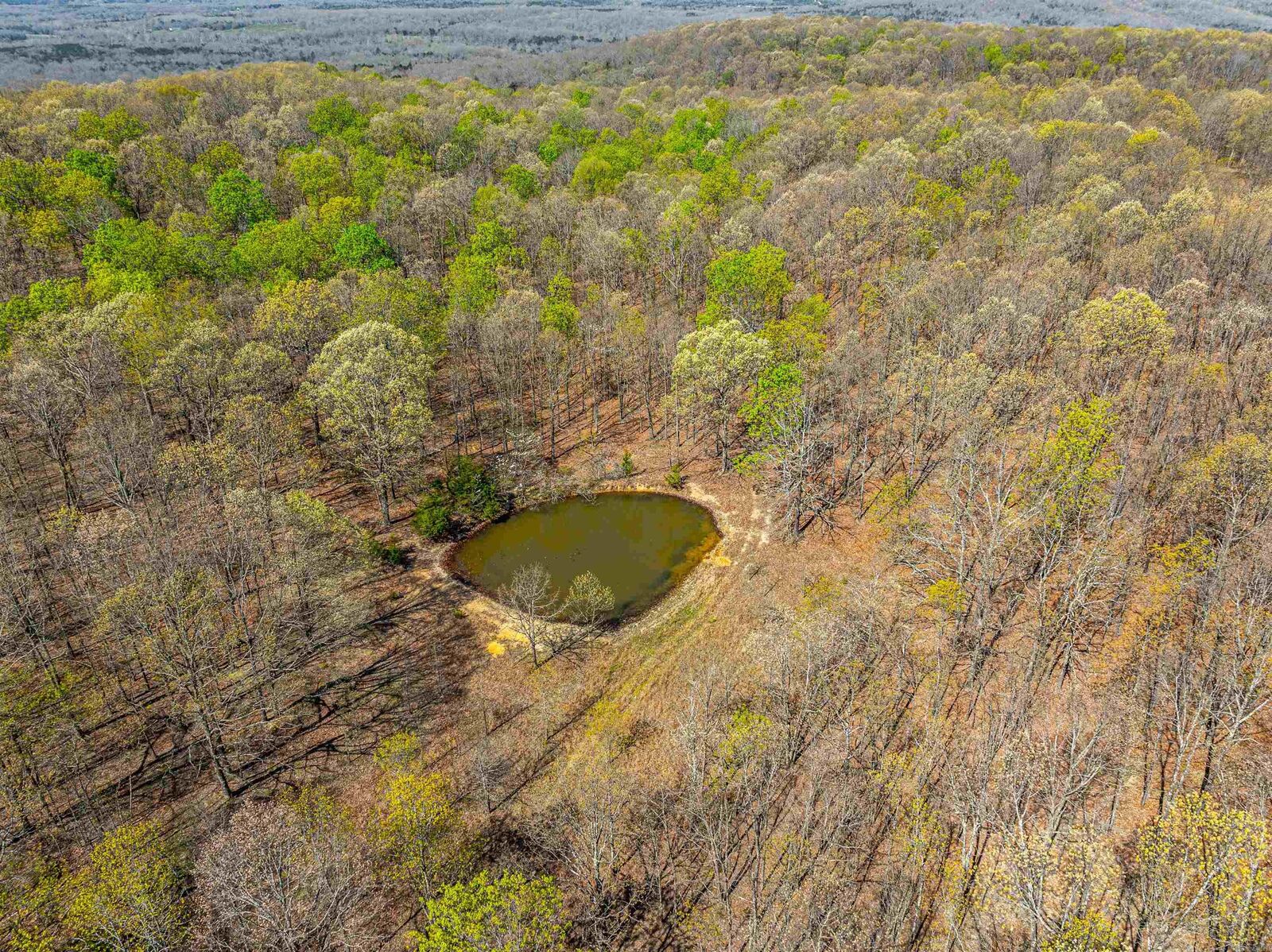 Property Photo:  0 Peebles Bluff Rd  AR 72466 