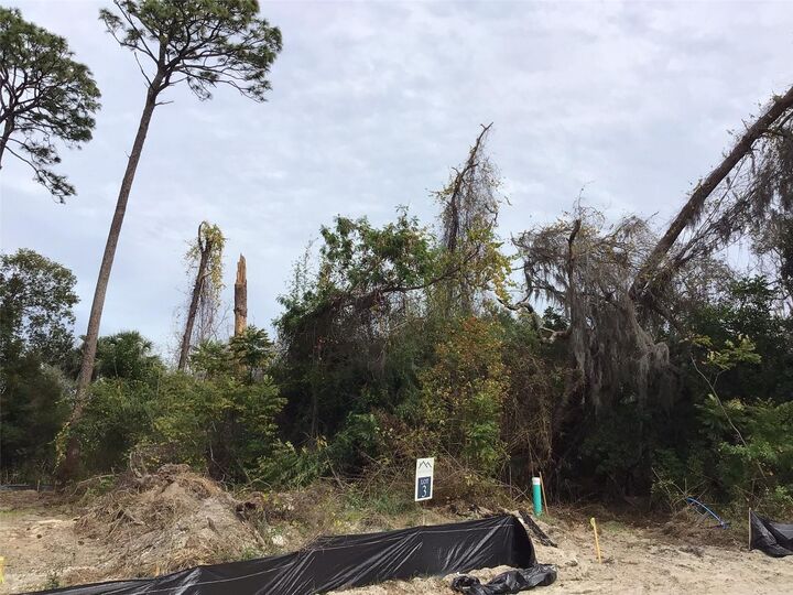 Property Photo:  1299 Almaria Court  FL 34683 