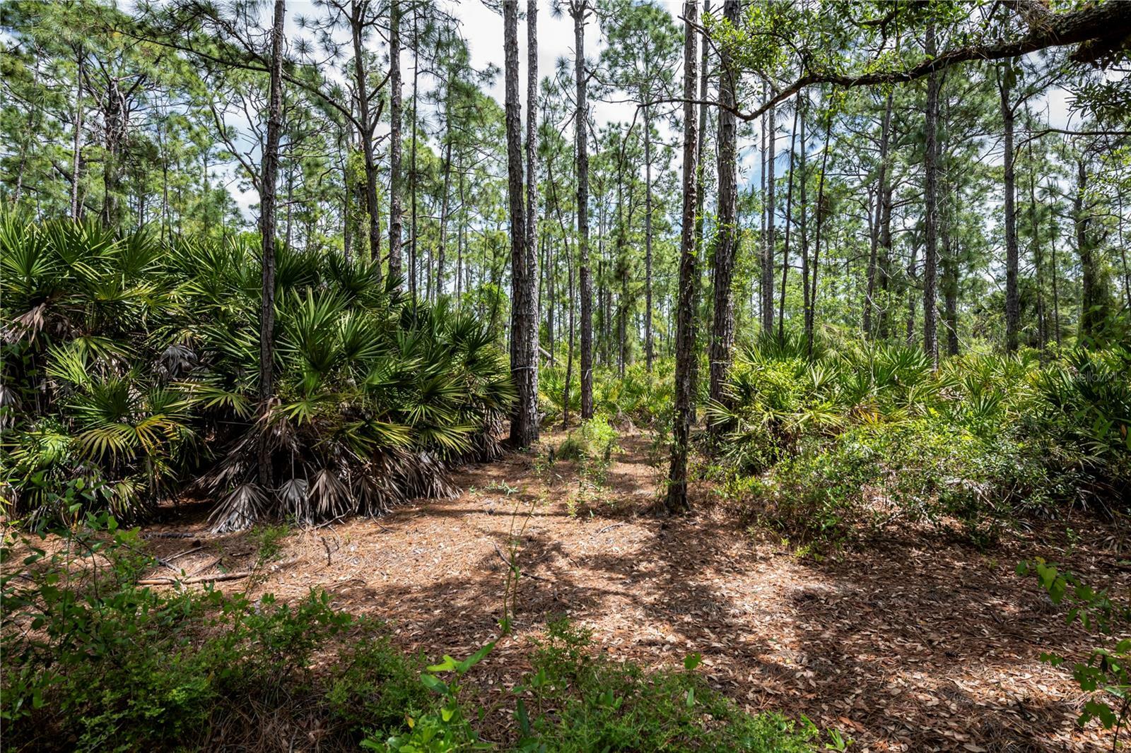 Property Photo:  Salford Boulevard  FL 34286 