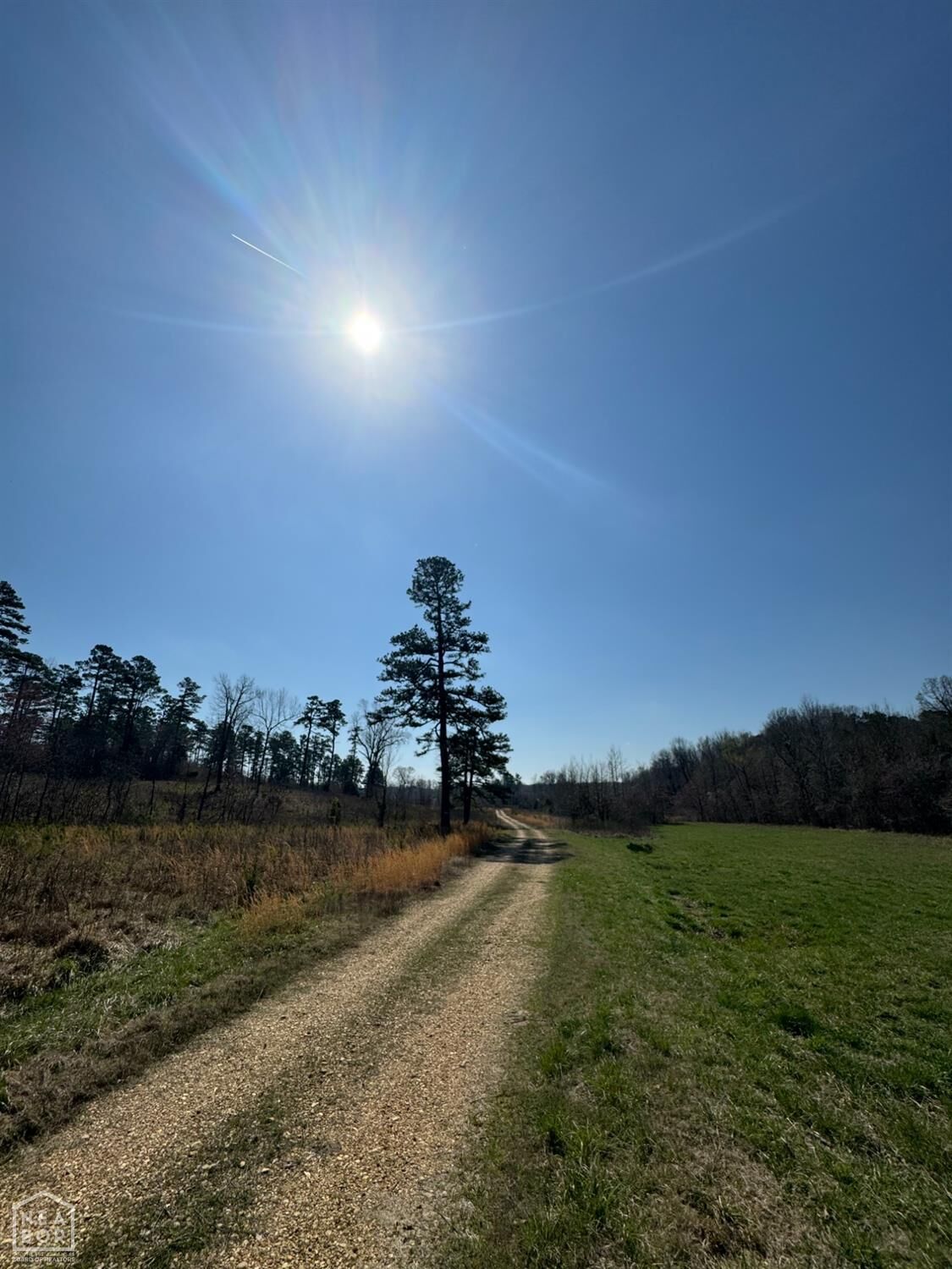 Property Photo:  4941 Greene Rd 721  AR 72450 