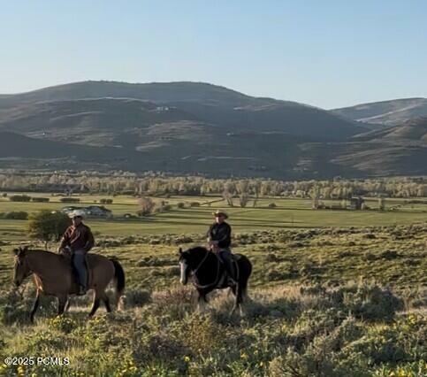 Property Photo:  875 E Hoyt Peak Ranch Road  UT 84036 