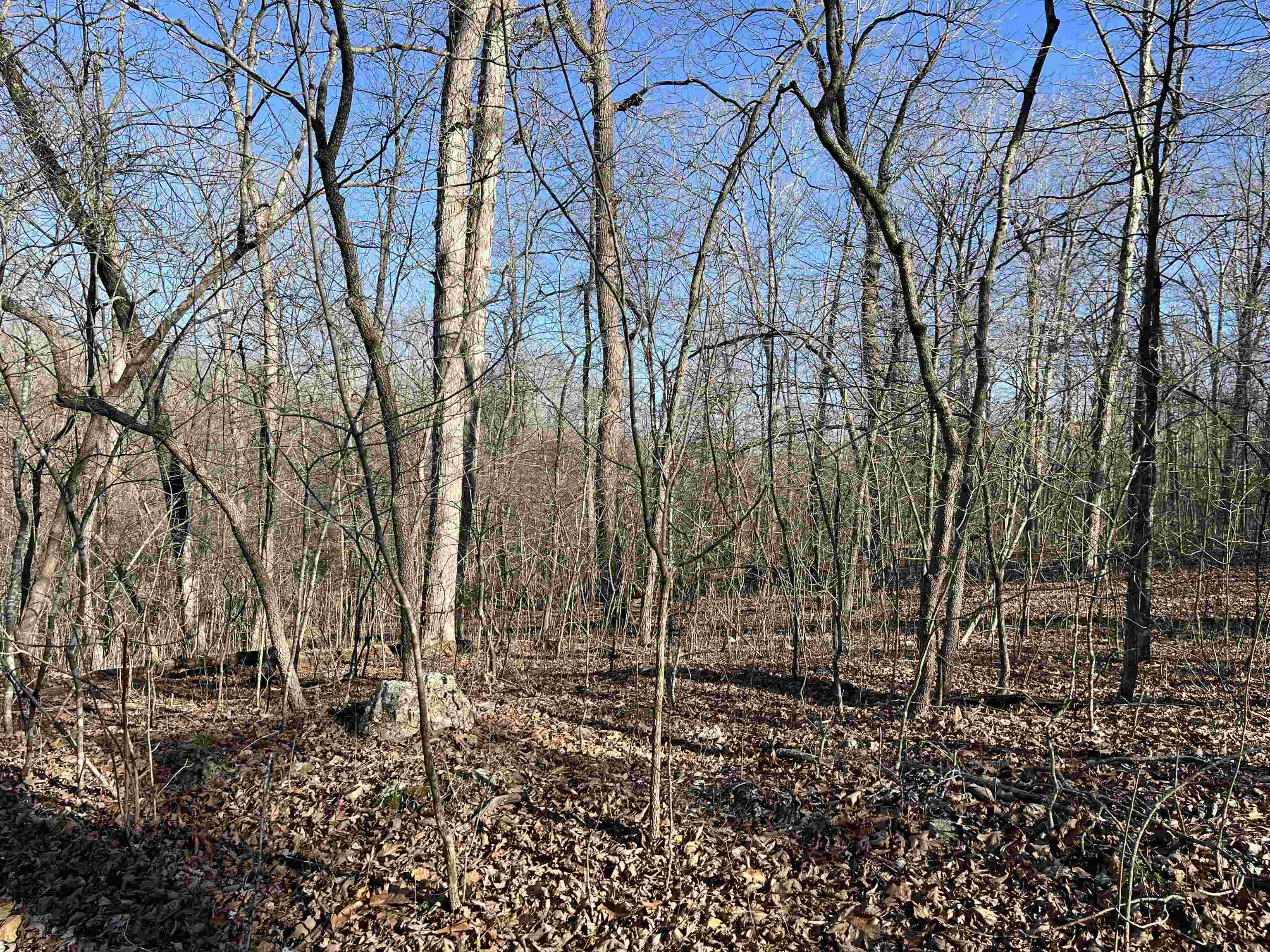 Property Photo:  Tbd Brookhaven Terrace  AR 72482 