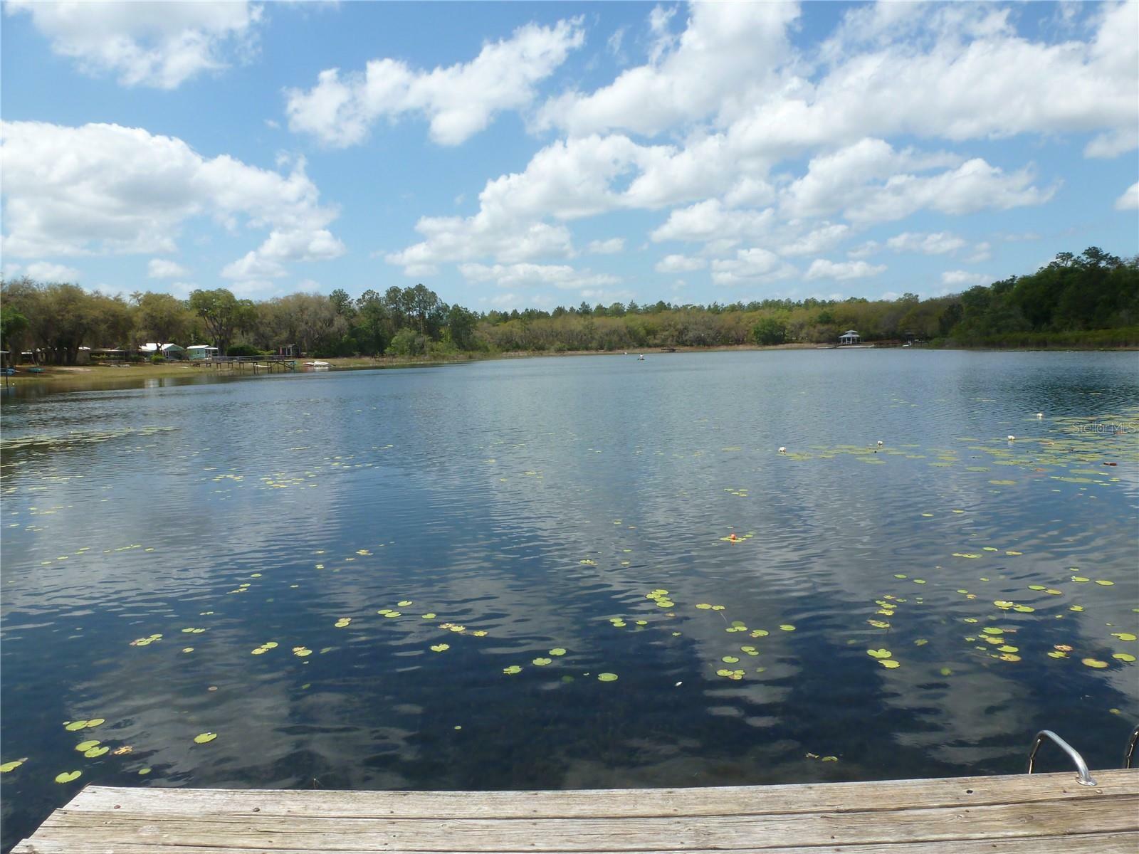 Property Photo:  150 Clearwater Lake Road  FL 32640 